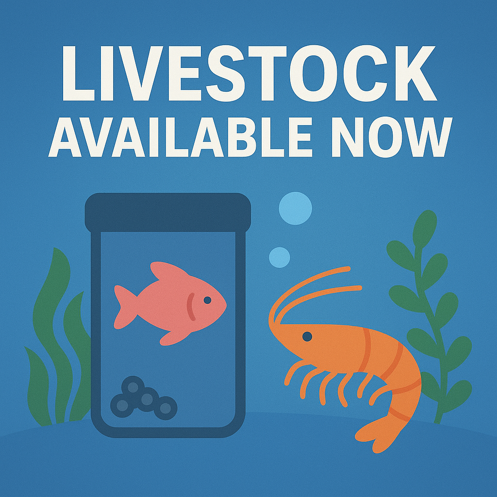 LIVESTOCK Available right away!!