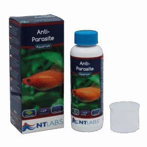 NTL AQ ANTI PARASITE 100ml