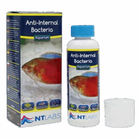 NTL AQ ANTI INTERNAL BACTERIA 100ml