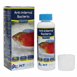 NTL AQ ANTI INTERNAL BACTERIA 100ml