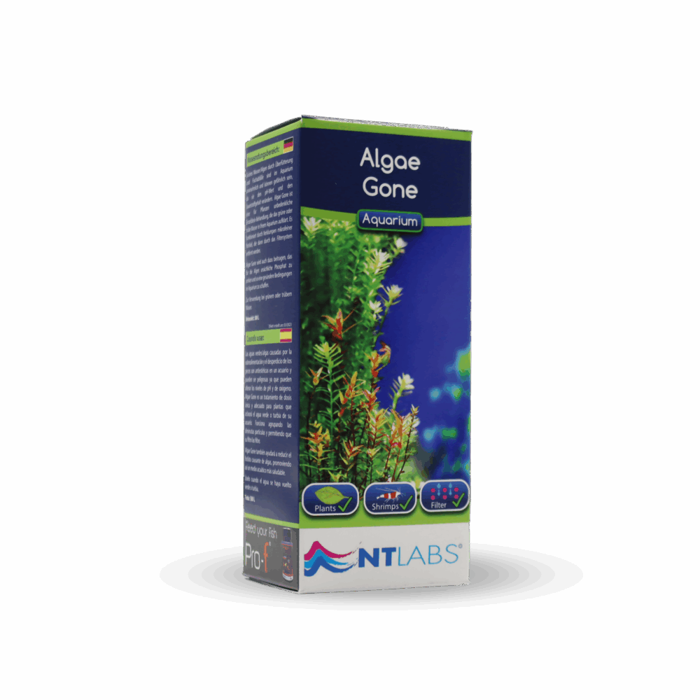 NTL AQ ALGAE GONE 100ml
