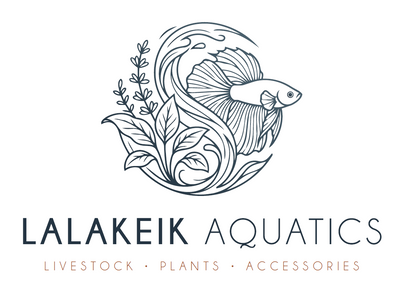 Lalakeik Aquatics