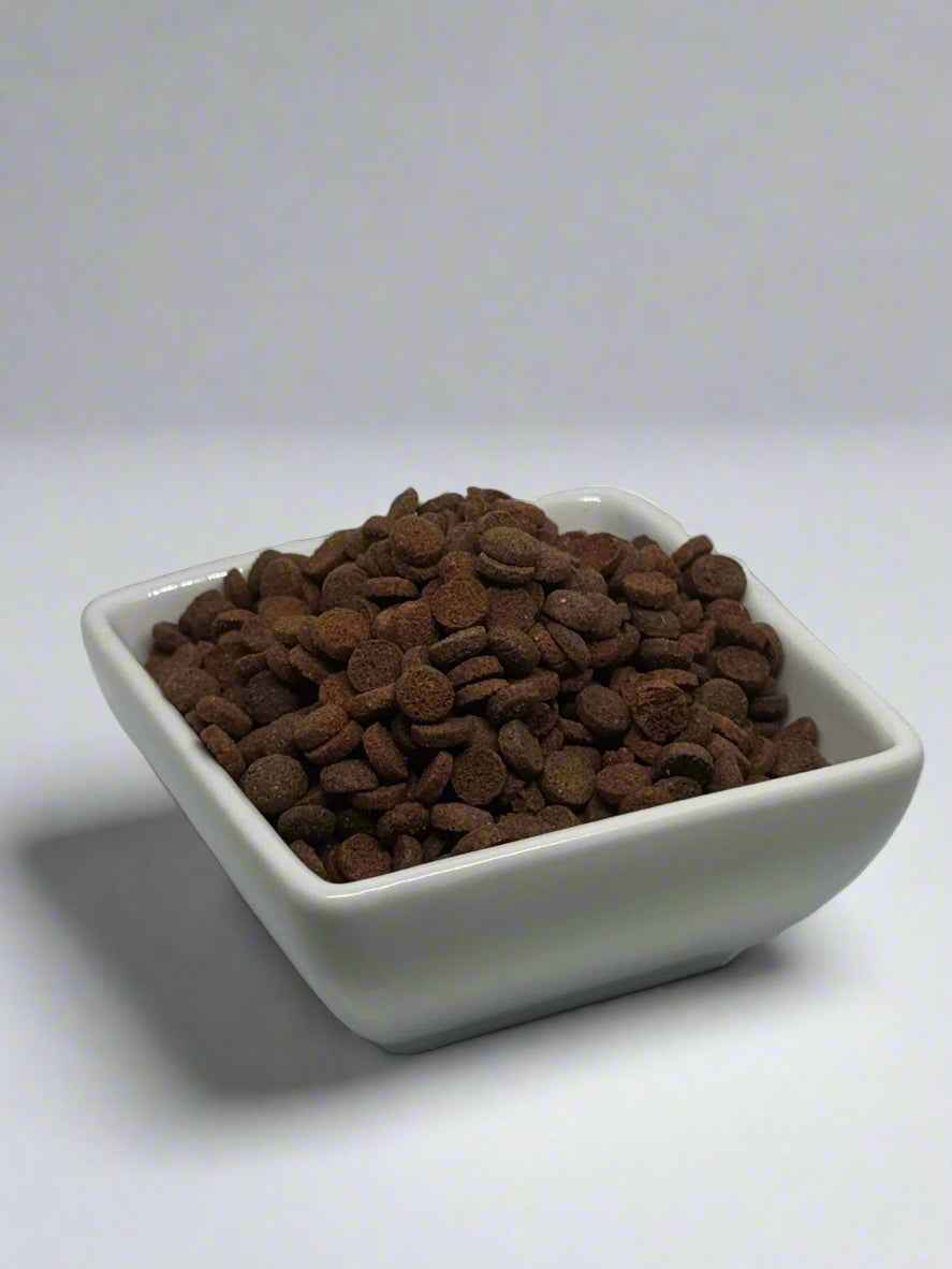 White bowl filled with brown pet food on a white background